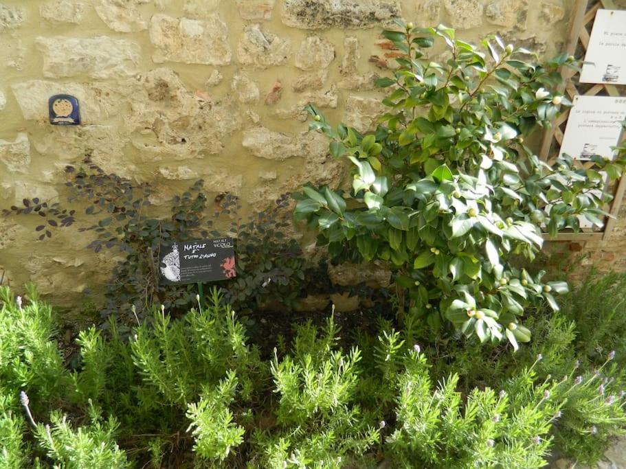 Casa Dell'Oliveto "Parcheggio Gratuito" Apartamento Narni Exterior foto