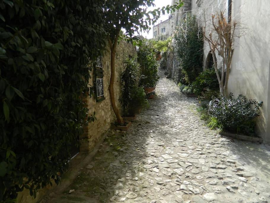 Casa Dell'Oliveto "Parcheggio Gratuito" Apartamento Narni Exterior foto