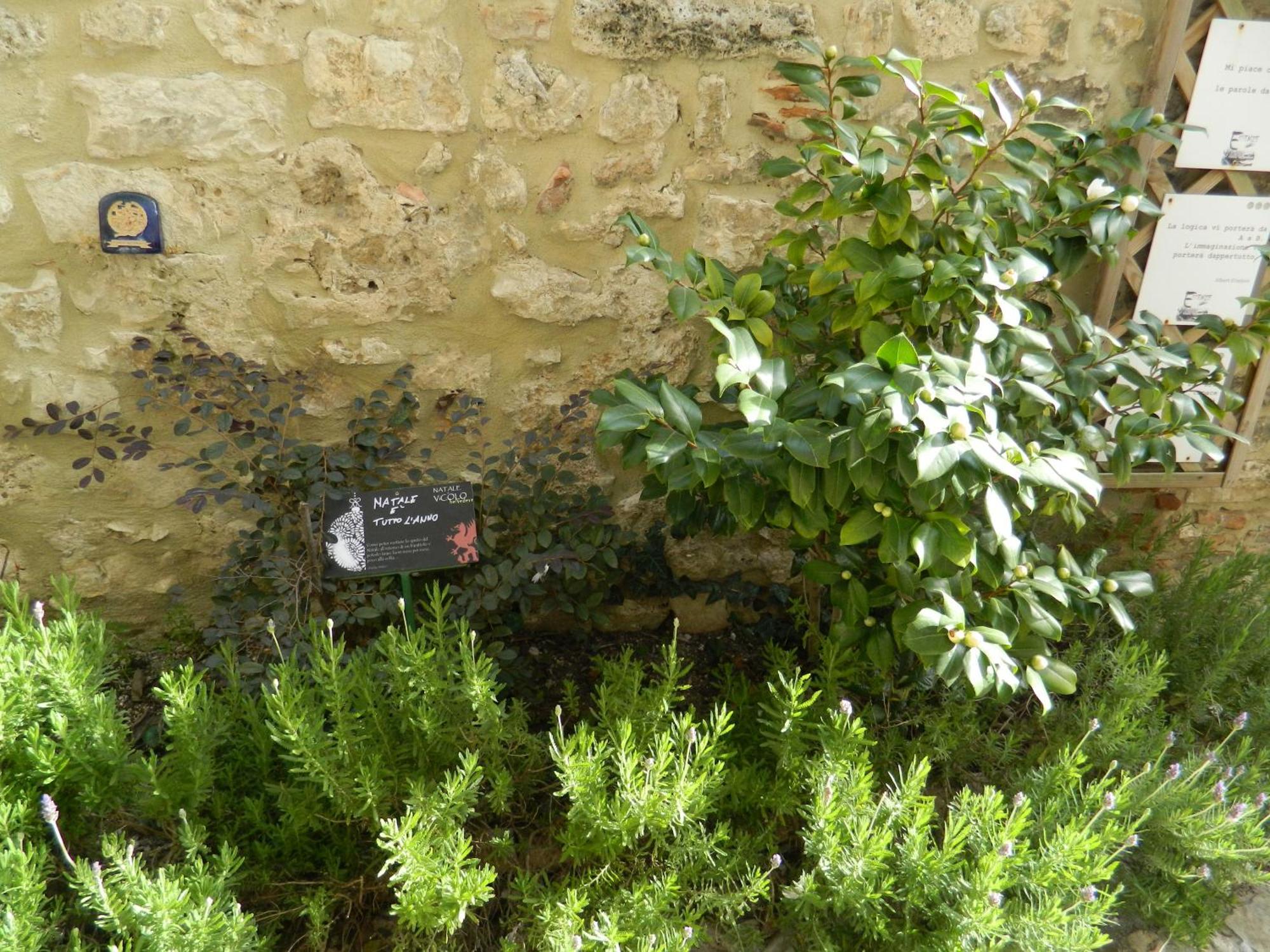 Casa Dell'Oliveto "Parcheggio Gratuito" Apartamento Narni Exterior foto